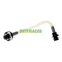 INTFRADIS 10289